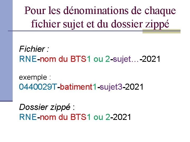 Pour les dénominations de chaque fichier sujet et du dossier zippé Fichier : RNE-nom