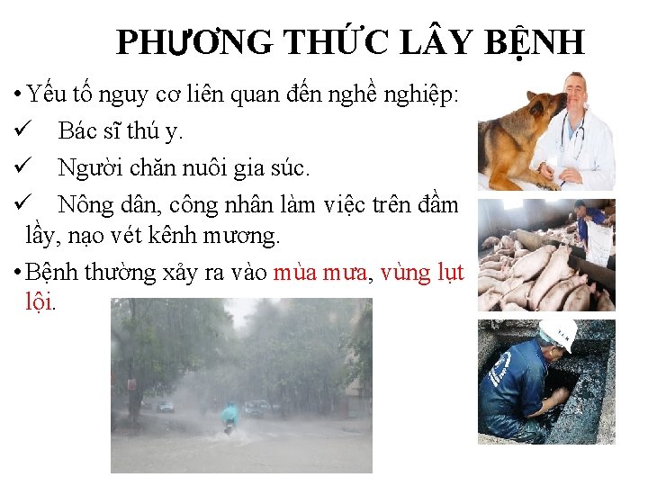 PHƯƠNG THỨC L Y BỆNH • Yếu tố nguy cơ liên quan đến nghề