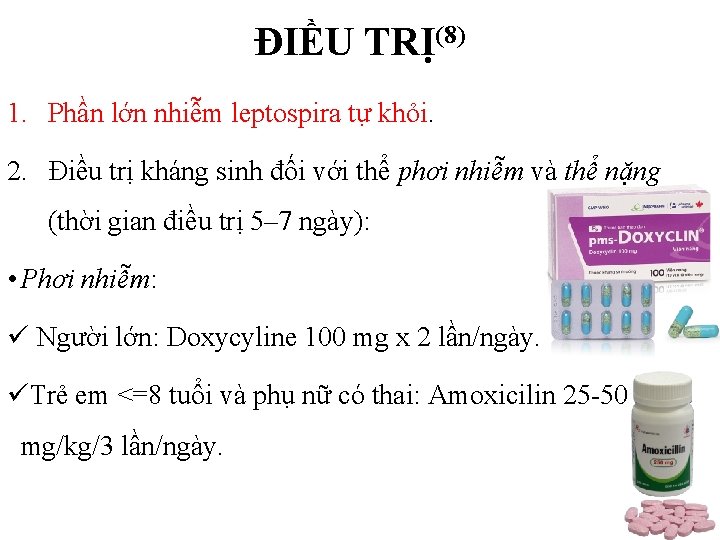 ĐIỀU TRỊ(8) 1. Phần lớn nhiễm leptospira tự khỏi. 2. Điều trị kháng sinh