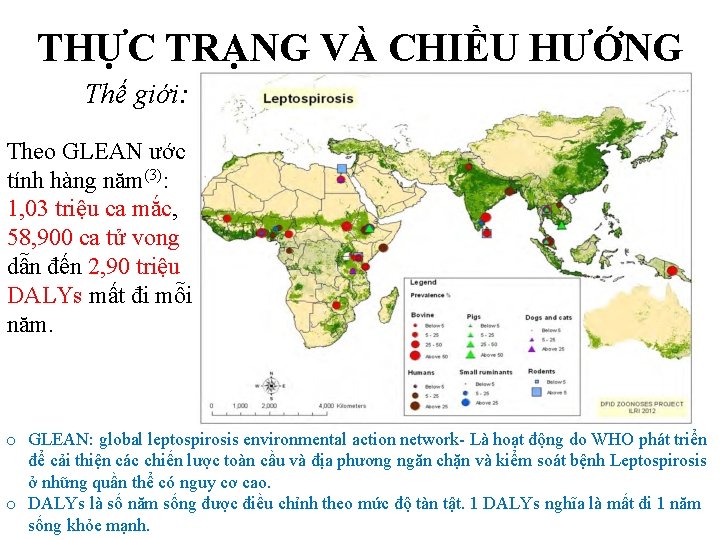 THỰC TRẠNG VÀ CHIỀU HƯỚNG Thế giới: Theo GLEAN ước tính hàng năm(3): 1,