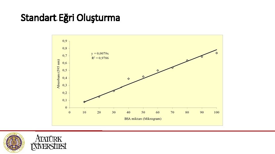 Standart Eğri Oluşturma 