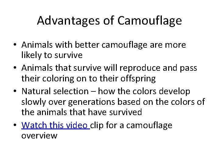 Advantages of Camouflage • Animals with better camouflage are more likely to survive • Advantages of Camouflage • Animals with better camouflage are more likely to survive •