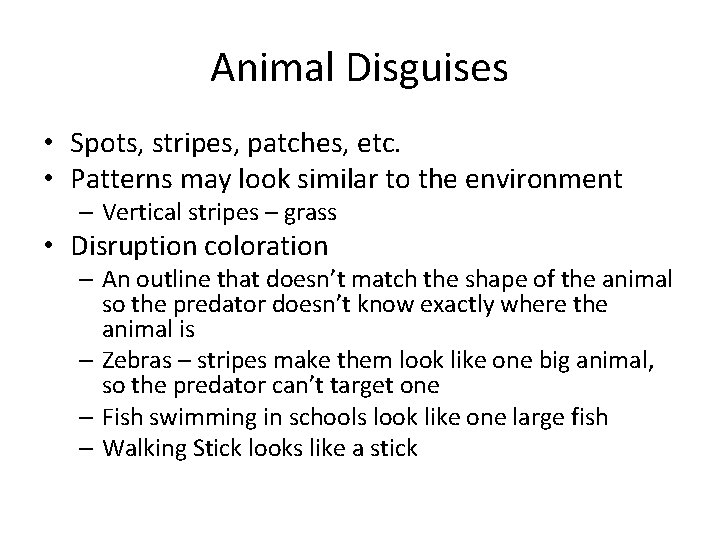 Animal Disguises • Spots, stripes, patches, etc. • Patterns may look similar to the Animal Disguises • Spots, stripes, patches, etc. • Patterns may look similar to the
