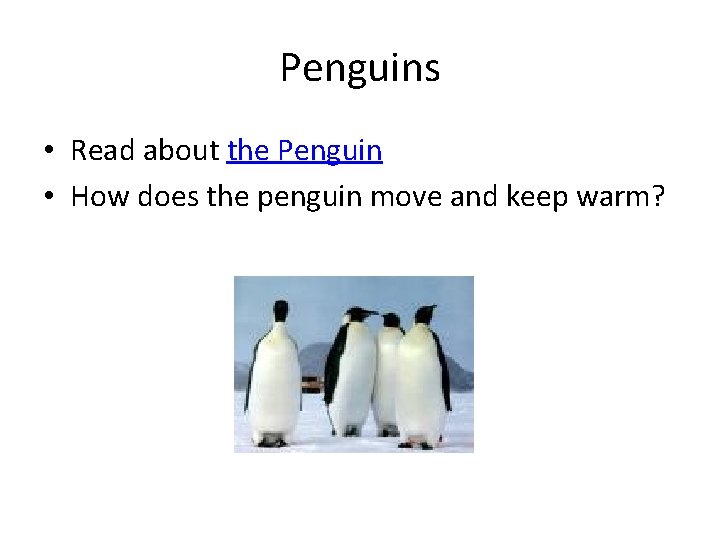 Penguins • Read about the Penguin • How does the penguin move and keep Penguins • Read about the Penguin • How does the penguin move and keep