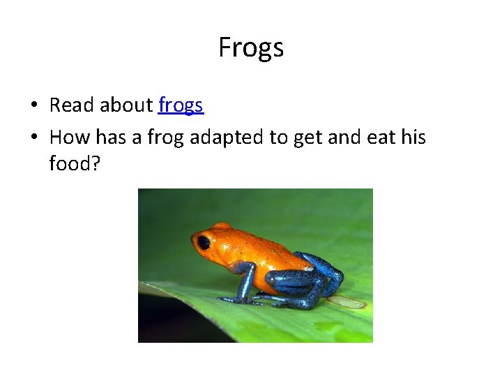 Frogs • Read about frogs • How has a frog adapted to get and Frogs • Read about frogs • How has a frog adapted to get and
