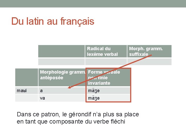 Du latin au français Radical du lexème verbal Morph. gramm. suffixale Morphologie gramm. Forme