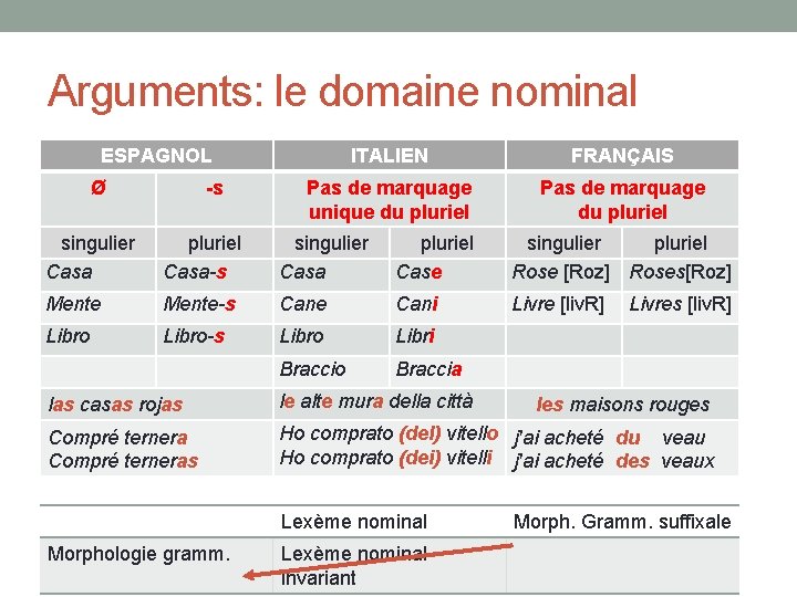 Arguments: le domaine nominal ESPAGNOL Ø -s ITALIEN FRANÇAIS Pas de marquage unique du