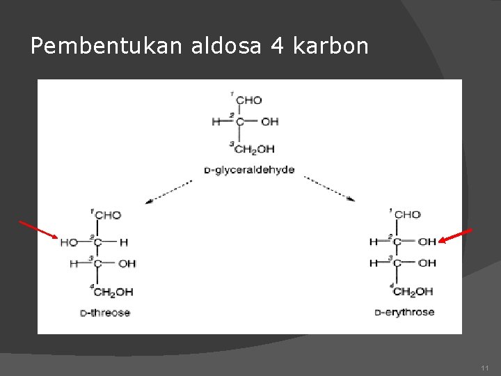 Pembentukan aldosa 4 karbon 11 
