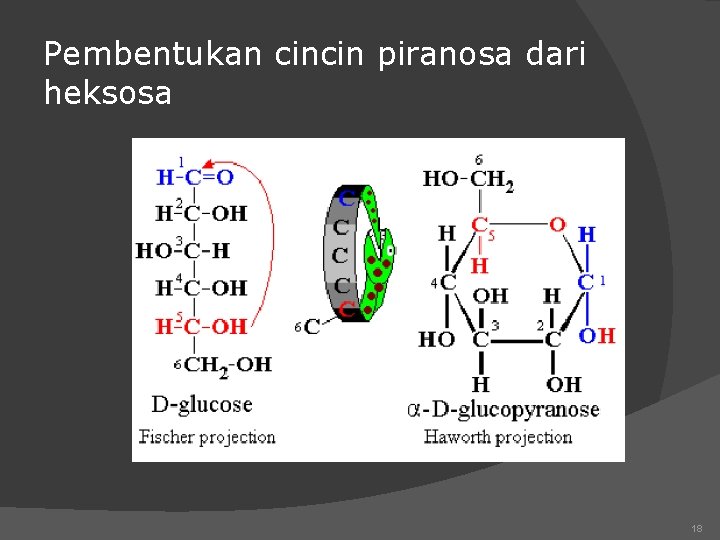 Pembentukan cincin piranosa dari heksosa 18 