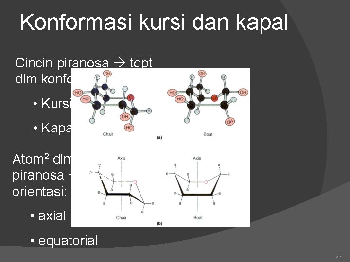 Konformasi kursi dan kapal Cincin piranosa tdpt dlm konformasi: • Kursi • Kapal Atom