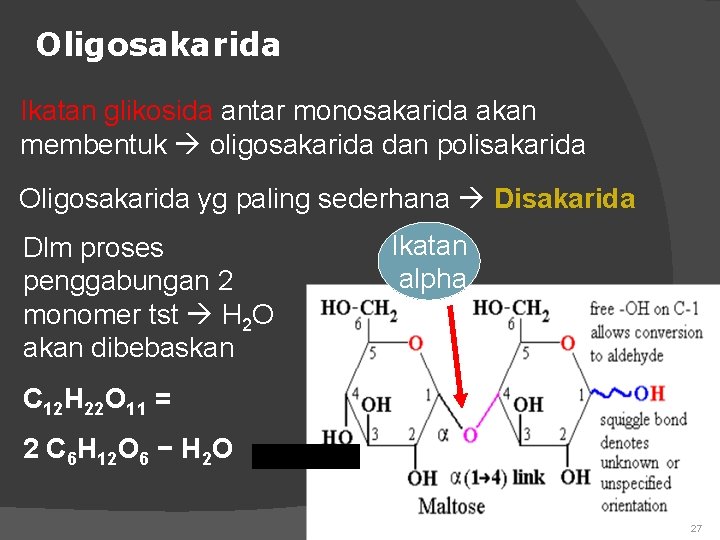 Oligosakarida Ikatan glikosida antar monosakarida akan membentuk oligosakarida dan polisakarida Oligosakarida yg paling sederhana