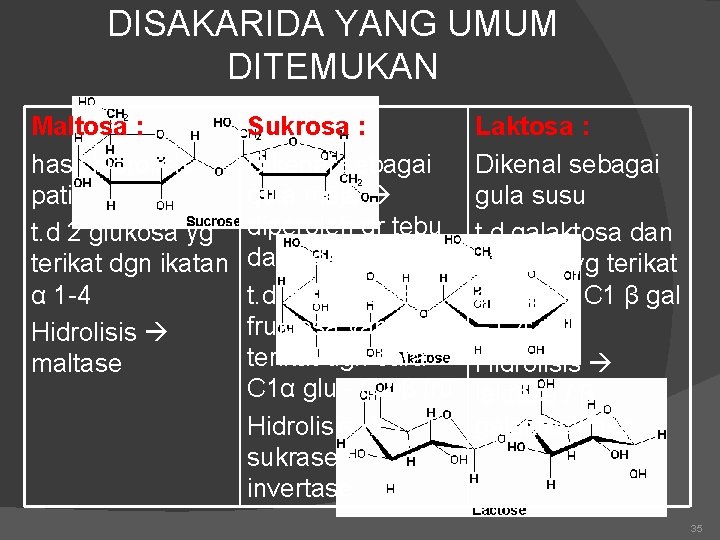 DISAKARIDA YANG UMUM DITEMUKAN Maltosa : hasil hidrolisis pati t. d 2 glukosa yg