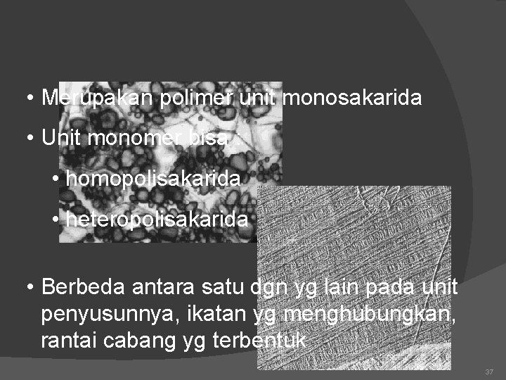  • Merupakan polimer unit monosakarida • Unit monomer bisa : • homopolisakarida •