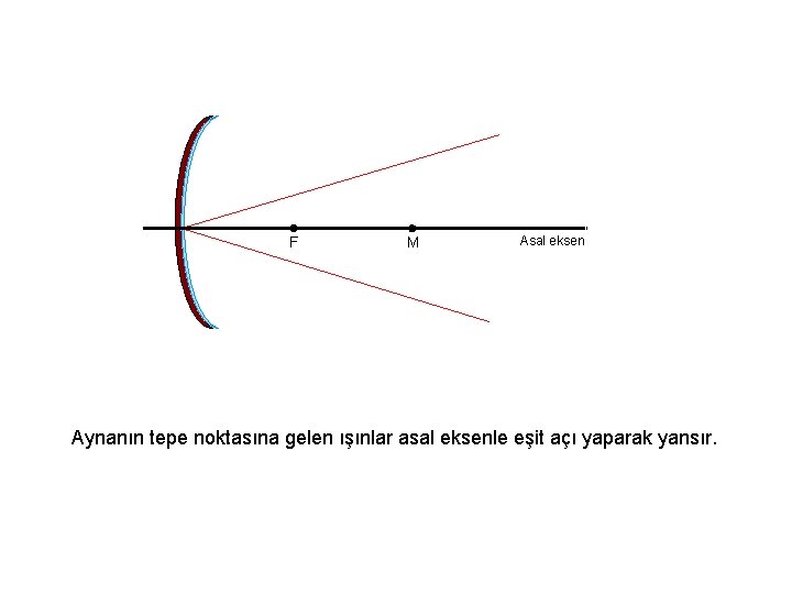 F M Asal eksen Aynanın tepe noktasına gelen ışınlar asal eksenle eşit açı yaparak