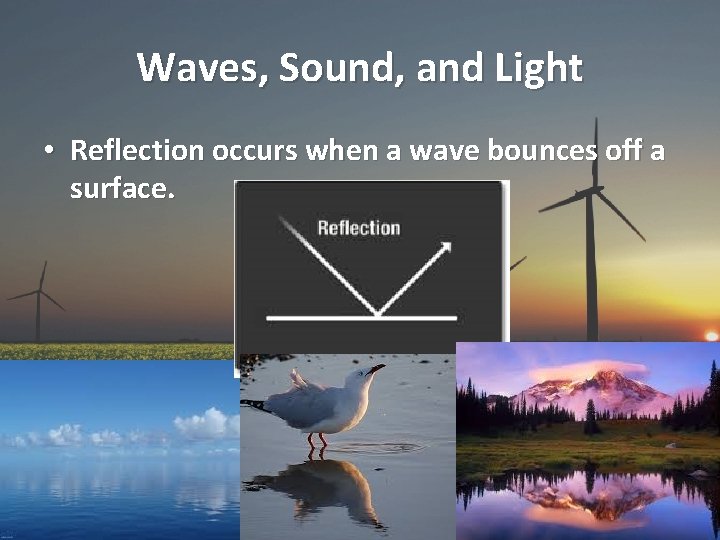 Waves, Sound, and Light • Reflection occurs when a wave bounces off a surface.