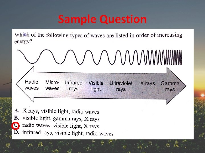 Sample Question 