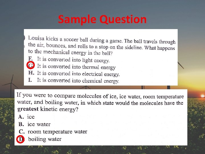 Sample Question 