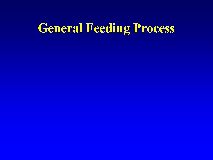 General Feeding Process 