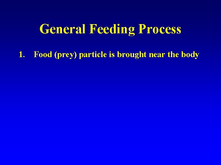 General Feeding Process 1. Food (prey) particle is brought near the body 