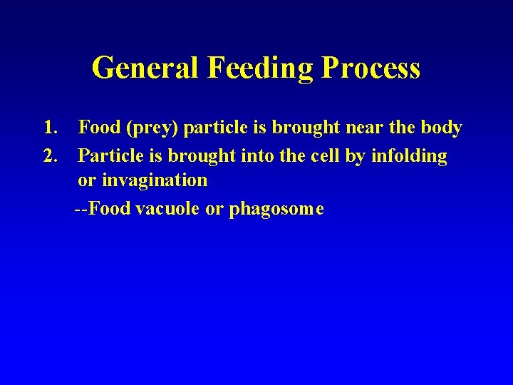 General Feeding Process 1. Food (prey) particle is brought near the body 2. Particle