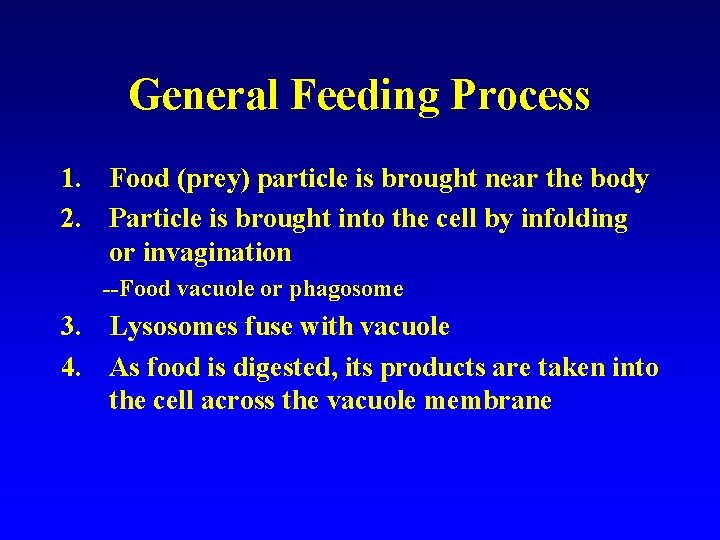 General Feeding Process 1. Food (prey) particle is brought near the body 2. Particle