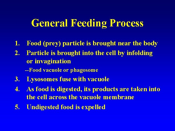 General Feeding Process 1. Food (prey) particle is brought near the body 2. Particle