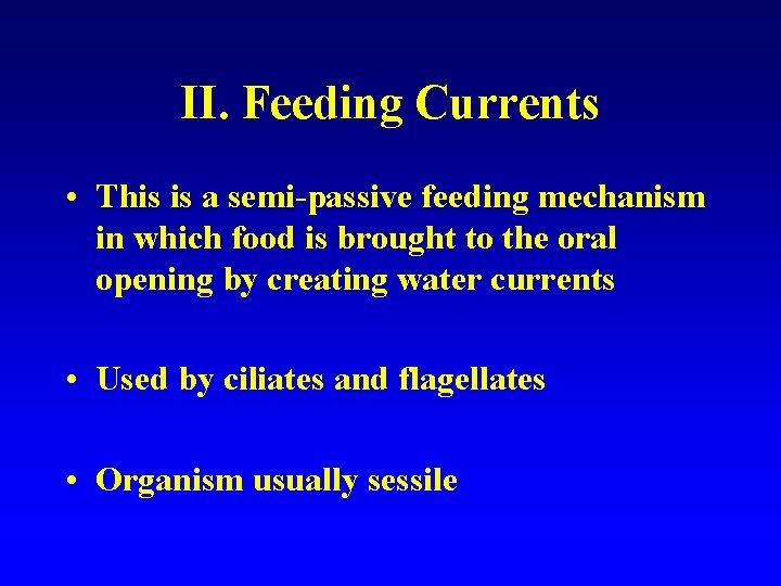 II. Feeding Currents • This is a semi-passive feeding mechanism in which food is