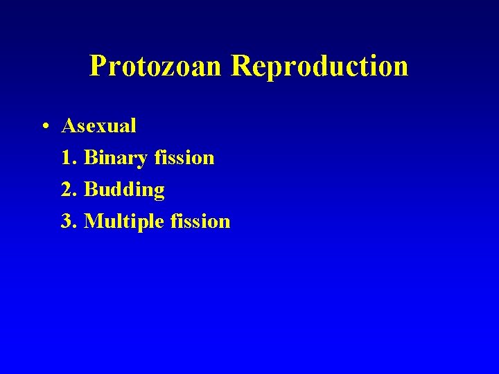 Protozoan Reproduction • Asexual 1. Binary fission 2. Budding 3. Multiple fission 