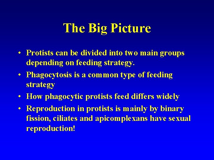 The Big Picture • Protists can be divided into two main groups depending on