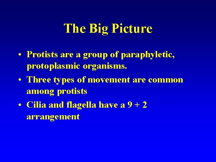 The Big Picture • Protists are a group of paraphyletic, protoplasmic organisms. • Three