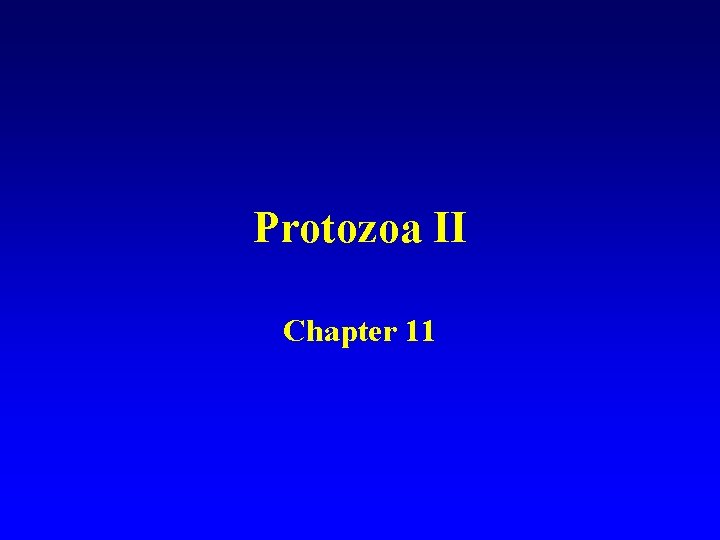 Protozoa II Chapter 11 