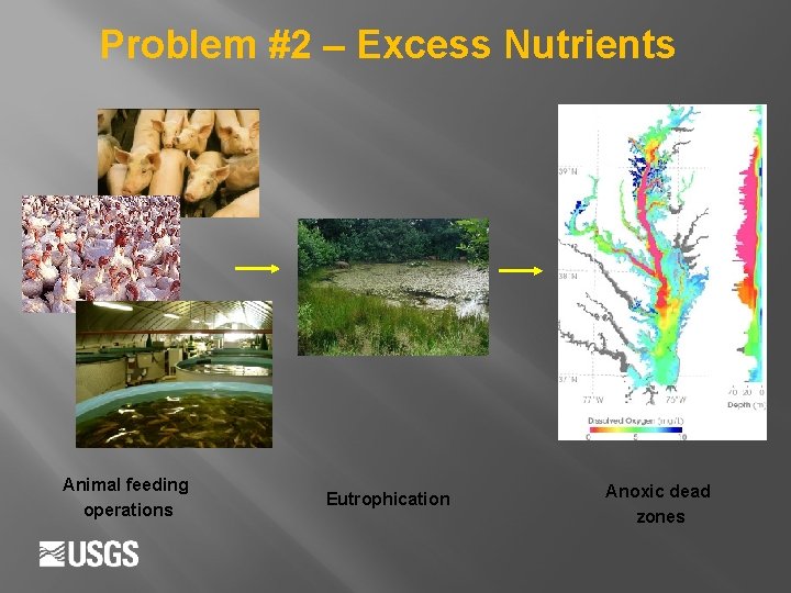 Problem #2 – Excess Nutrients Animal feeding operations Eutrophication Anoxic dead zones 