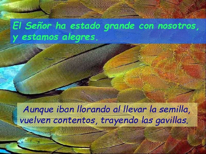 El Señor ha estado grande con nosotros, y estamos alegres. Aunque iban llorando al