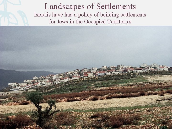 Landscapes of Settlements Israelis have had a policy of building settlements for Jews in