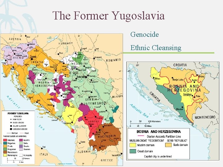 The Former Yugoslavia Genocide Ethnic Cleansing 