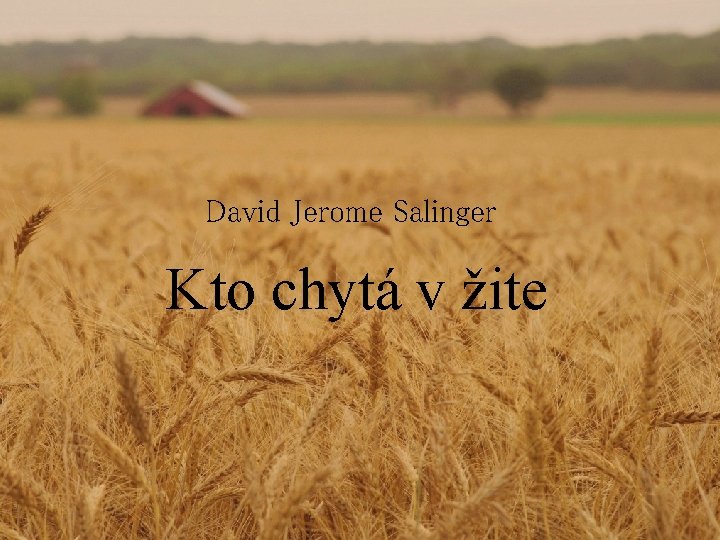 David Jerome Salinger Kto chytá v žite 