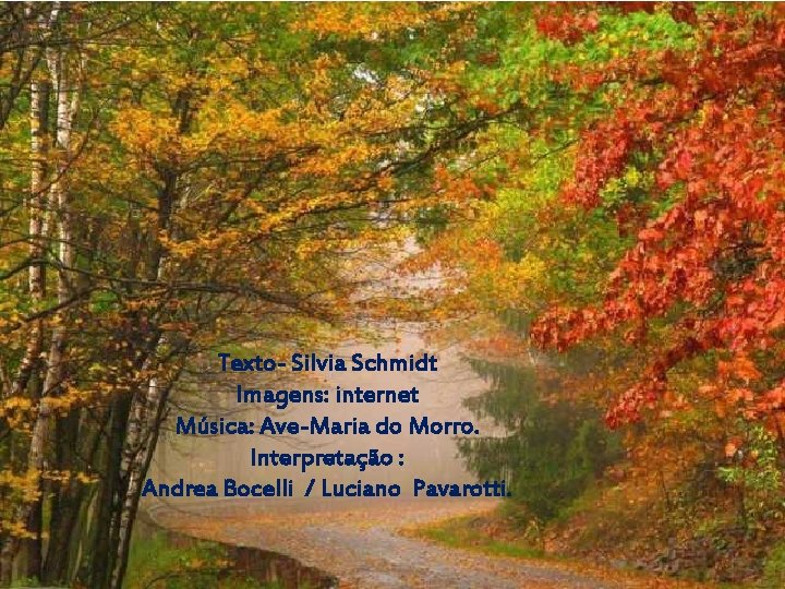 Texto- Silvia Schmidt Imagens: internet Música: Ave-Maria do Morro. Interpretação : Andrea Bocelli /