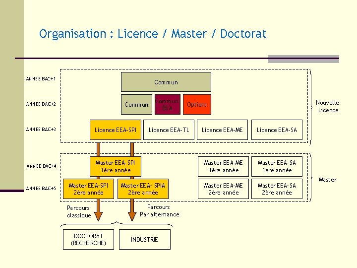 Organisation : Licence / Master / Doctorat ANNEE BAC+1 Commun ANNEE BAC+2 ANNEE BAC+3