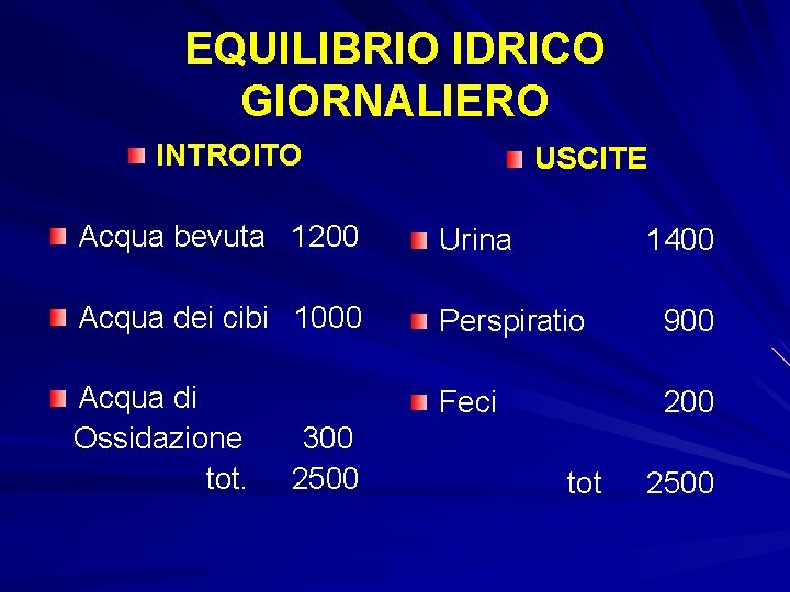 EQUILIBRIO IDRICO GIORNALIERO INTROITO USCITE Acqua bevuta 1200 Urina Acqua dei cibi 1000 Perspiratio