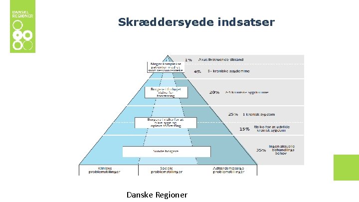 Skræddersyede indsatser Danske Regioner 