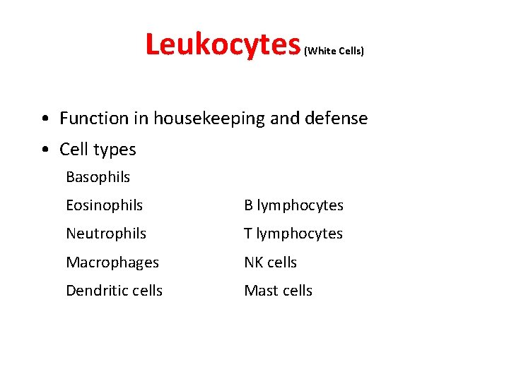 Leukocytes (White Cells) • Function in housekeeping and defense • Cell types Basophils Eosinophils Leukocytes (White Cells) • Function in housekeeping and defense • Cell types Basophils Eosinophils