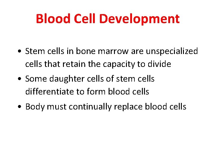 Blood Cell Development • Stem cells in bone marrow are unspecialized cells that retain Blood Cell Development • Stem cells in bone marrow are unspecialized cells that retain