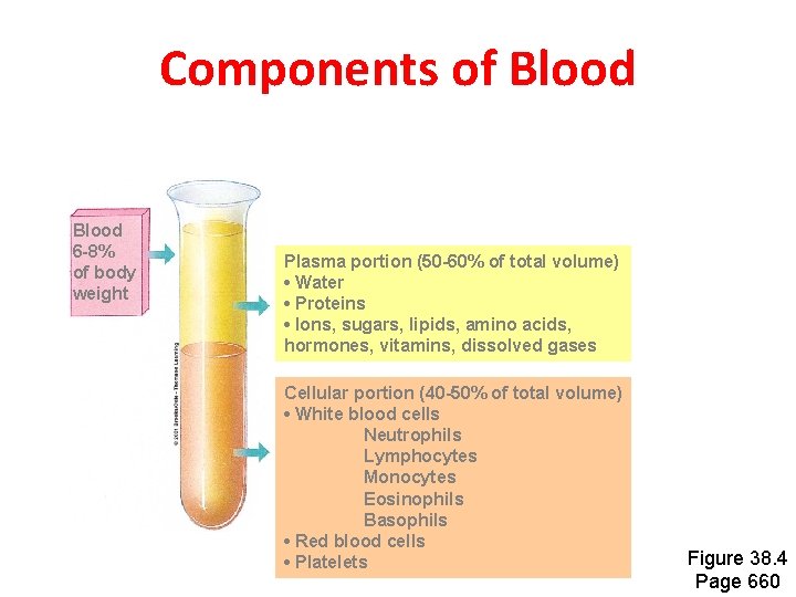 Components of Blood 6 -8% of body weight Plasma portion (50 -60% of total Components of Blood 6 -8% of body weight Plasma portion (50 -60% of total