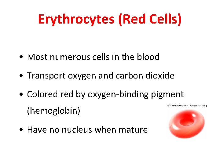 Erythrocytes (Red Cells) • Most numerous cells in the blood • Transport oxygen and Erythrocytes (Red Cells) • Most numerous cells in the blood • Transport oxygen and