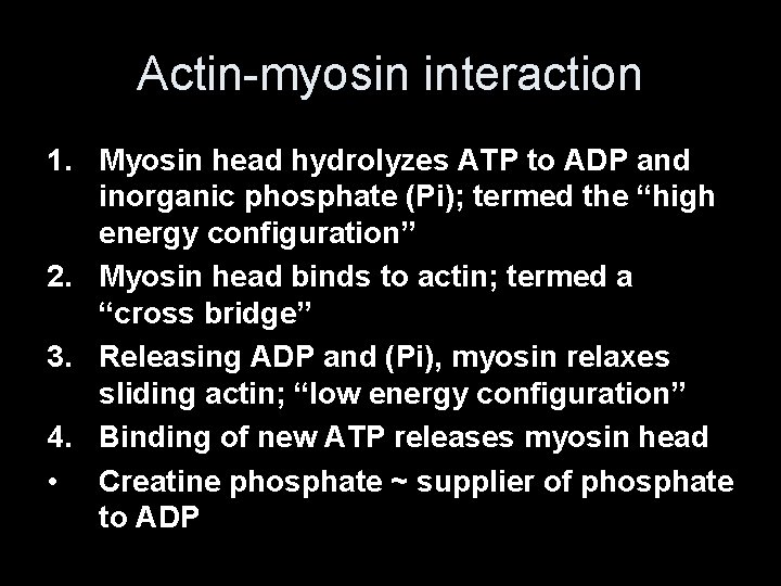 Actin-myosin interaction 1. Myosin head hydrolyzes ATP to ADP and inorganic phosphate (Pi); termed