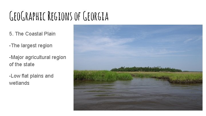 Geo. Graphic Regions of Georgia 5. The Coastal Plain -The largest region -Major agricultural