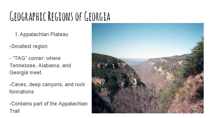 Geographic Regions of Georgia 1. Appalachian Plateau -Smallest region - “TAG” corner: where Tennessee,