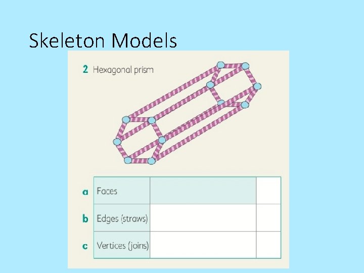 Skeleton Models 