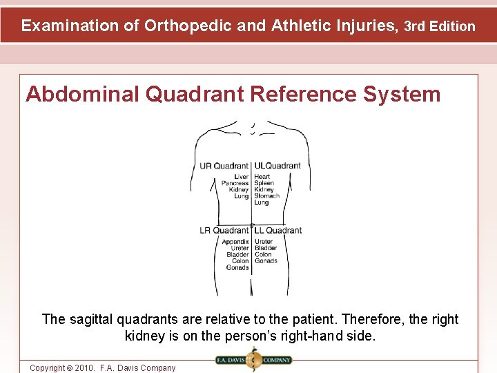 Examination of Orthopedic and Athletic Injuries, 3 rd Edition Abdominal Quadrant Reference System The