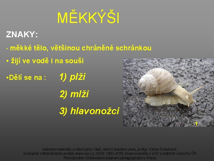 MĚKKÝŠI ZNAKY: • měkké tělo, většinou chráněné schránkou • žijí ve vodě i na